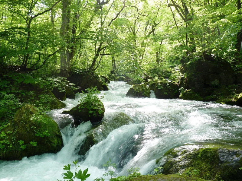 Oirase Gorge