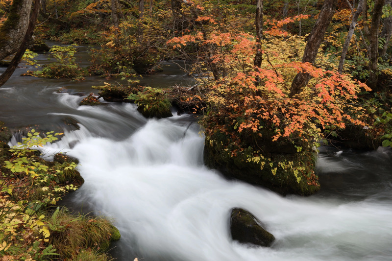 Oirase Gorge