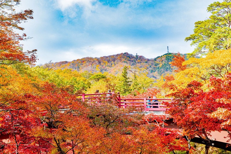 Yahiko Park