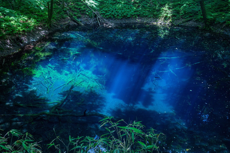 青池の画像（圭史撮影）