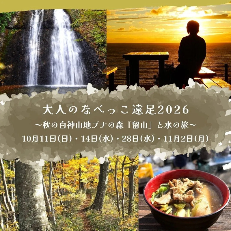 白神山地,観光,秋田,秋