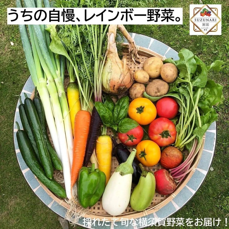 野菜80