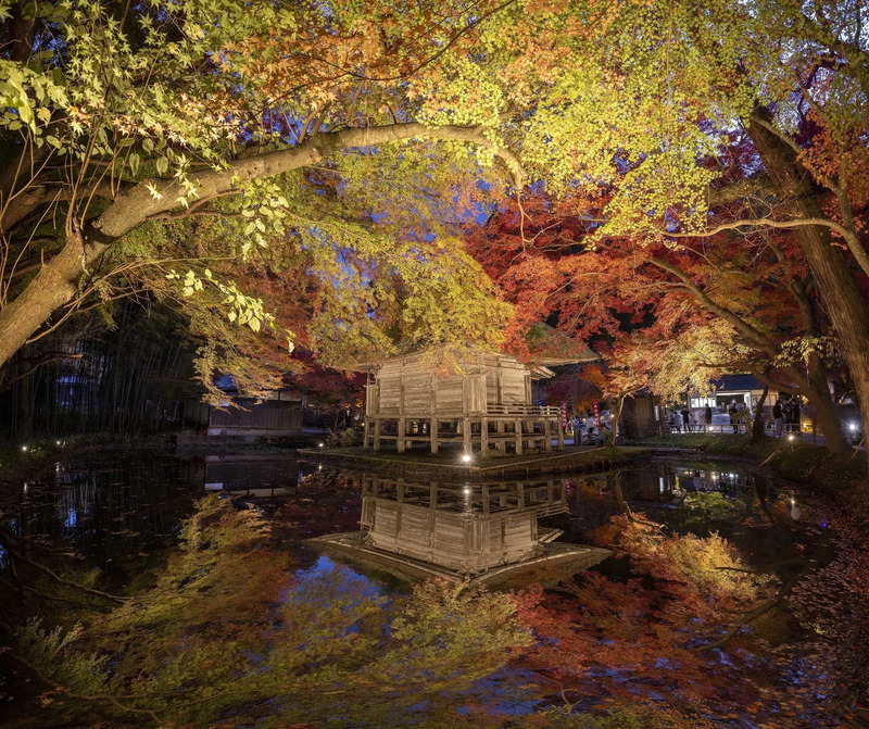 紅葉銀河