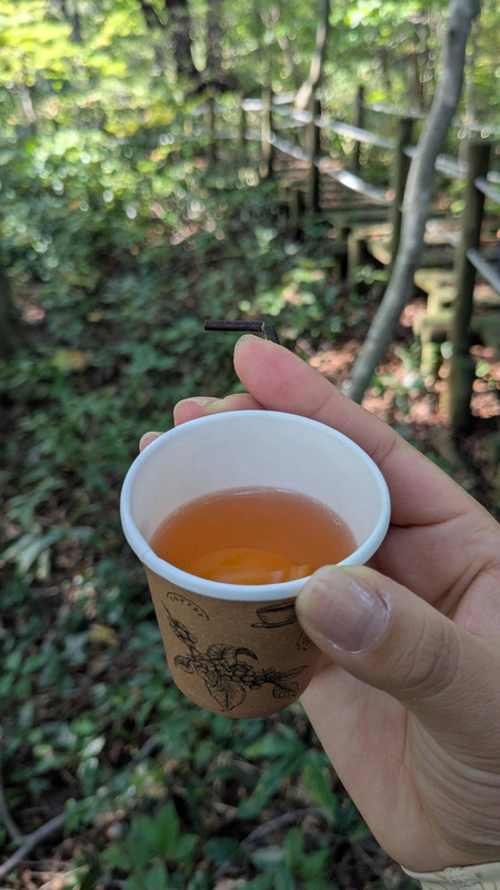 白神山地,観光,秋田,秋