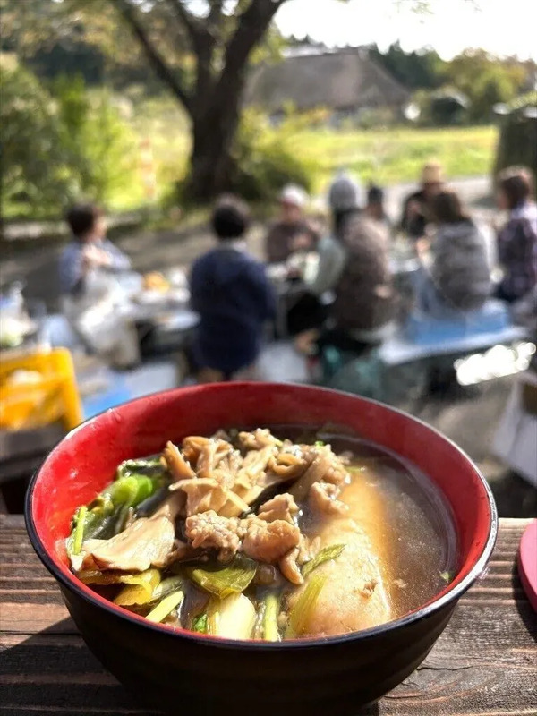 白神山地,観光,秋田,秋