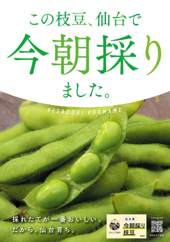 「今朝採り枝豆」