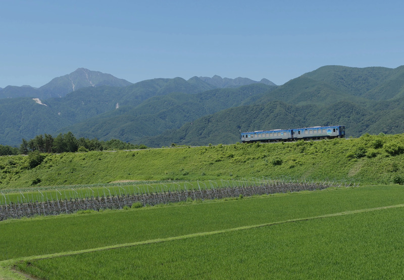 のってたのしい列車「HIGH RAIL 1375」