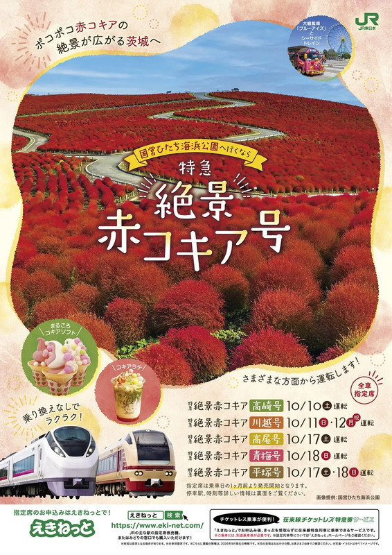 絶景あコキア号表面