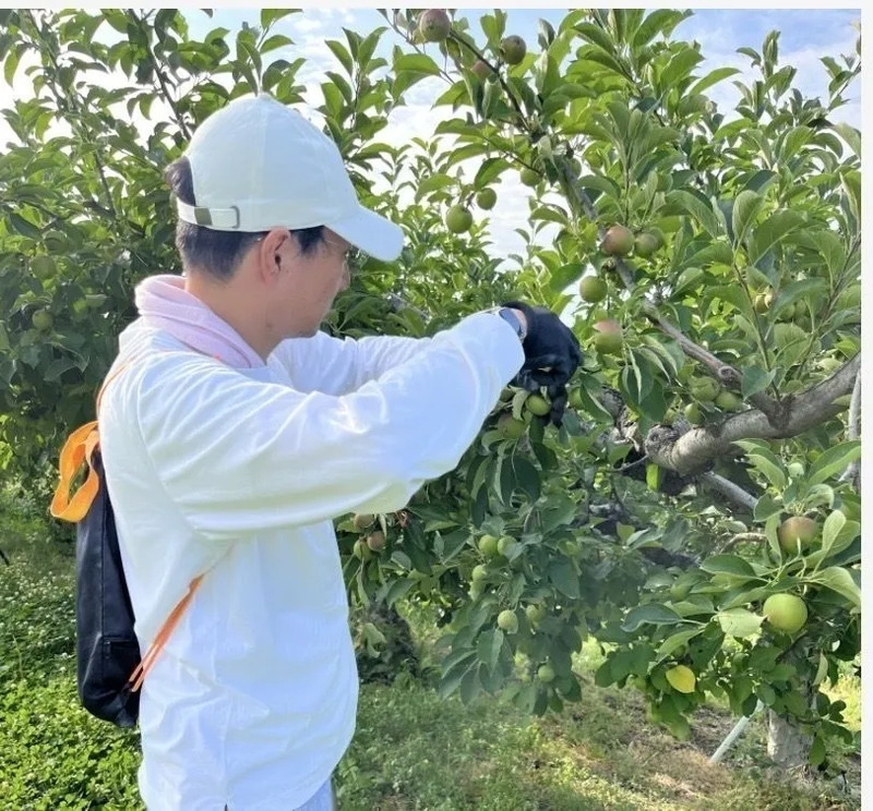 副業の様子