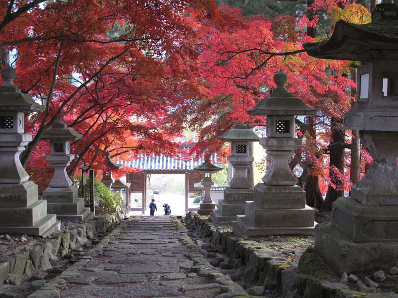 清水寺の紅葉