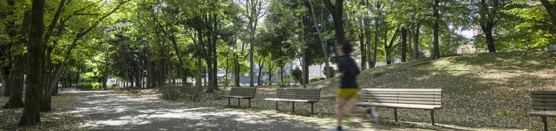 府中の森公園