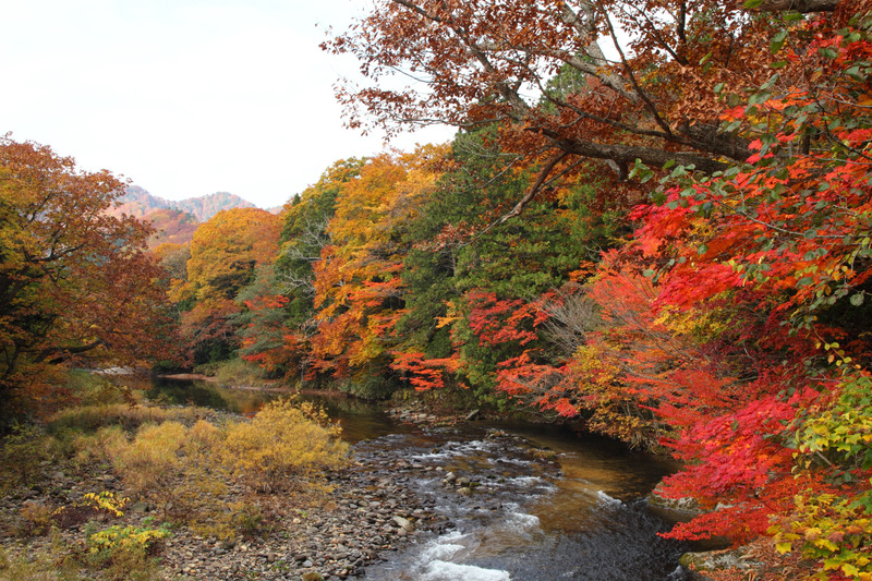 薬研渓流：紅葉