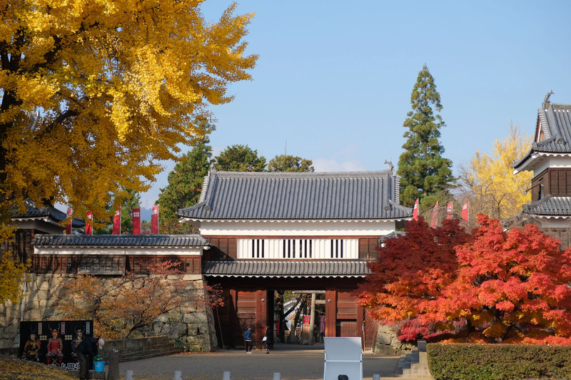 上田城跡公園の紅葉