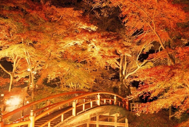 河鹿橋