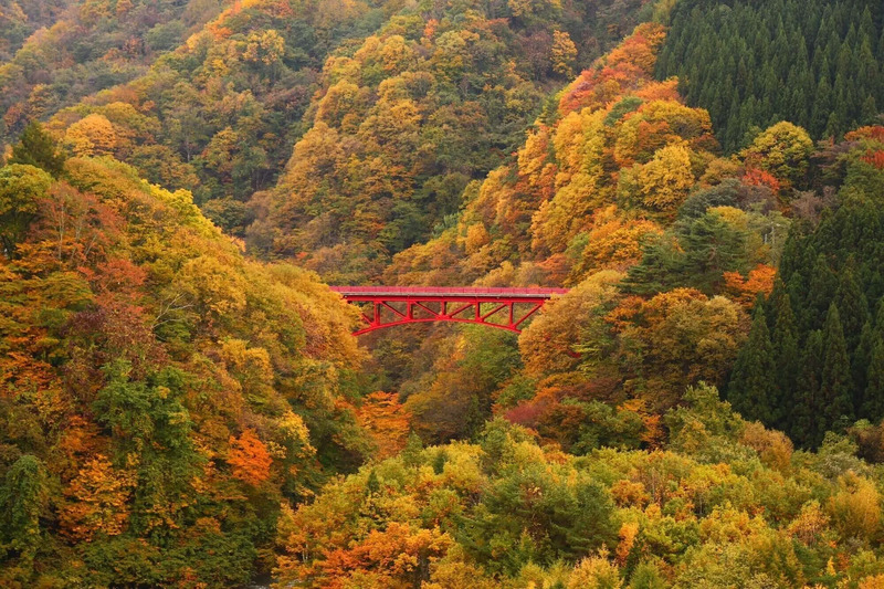 山田温泉 高井橋の紅葉