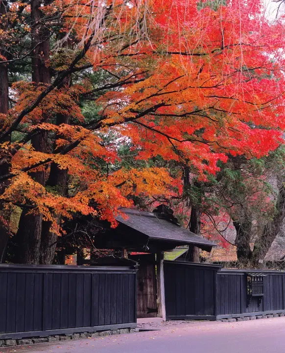 武家屋敷