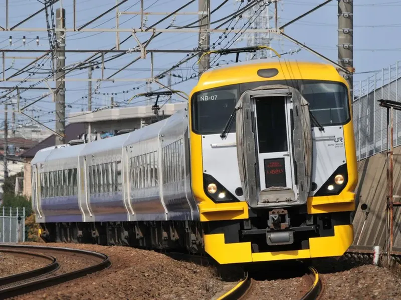 団体臨時列車(E257系)