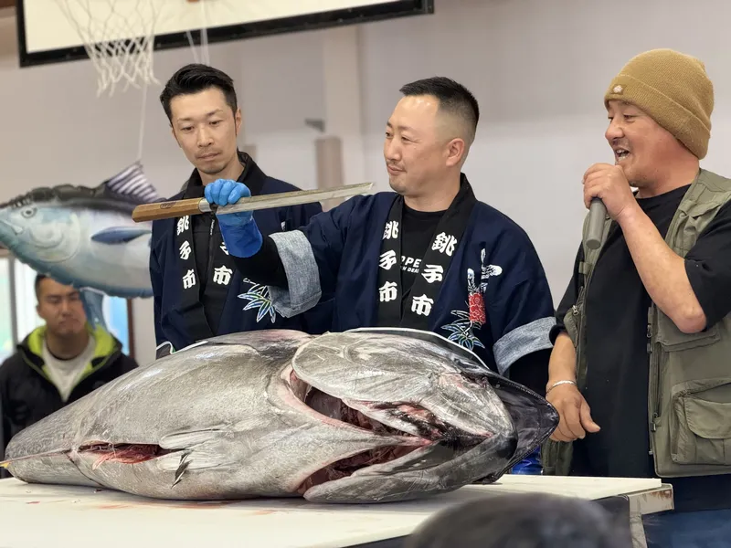 生まぐろ解体ショー