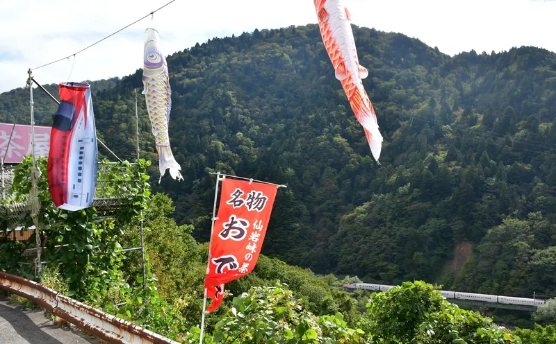 こまちこいのぼり