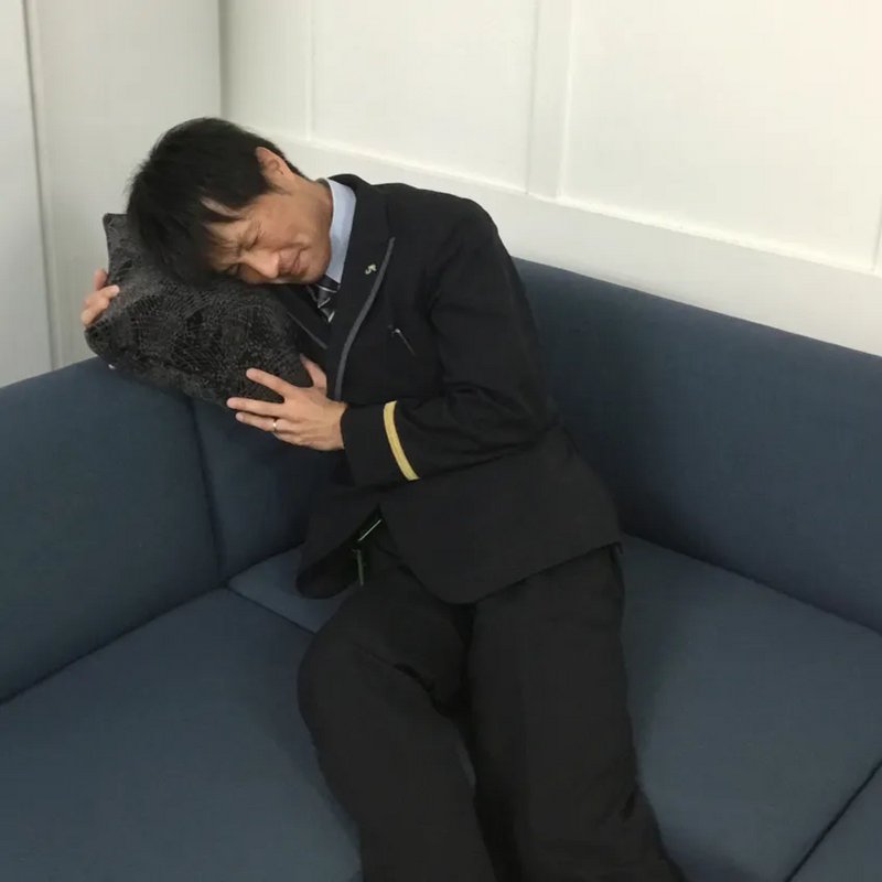 【鉄道クッション】E3系1000番代・普通車 定期運用から引退する、新幹線E3系1000番代の座面シートの