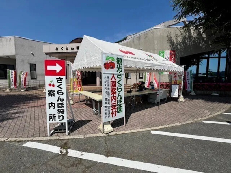 山形・寒河江「さくらんぼ狩り＆ジェラート券」が「TOHOKU MaaS」に