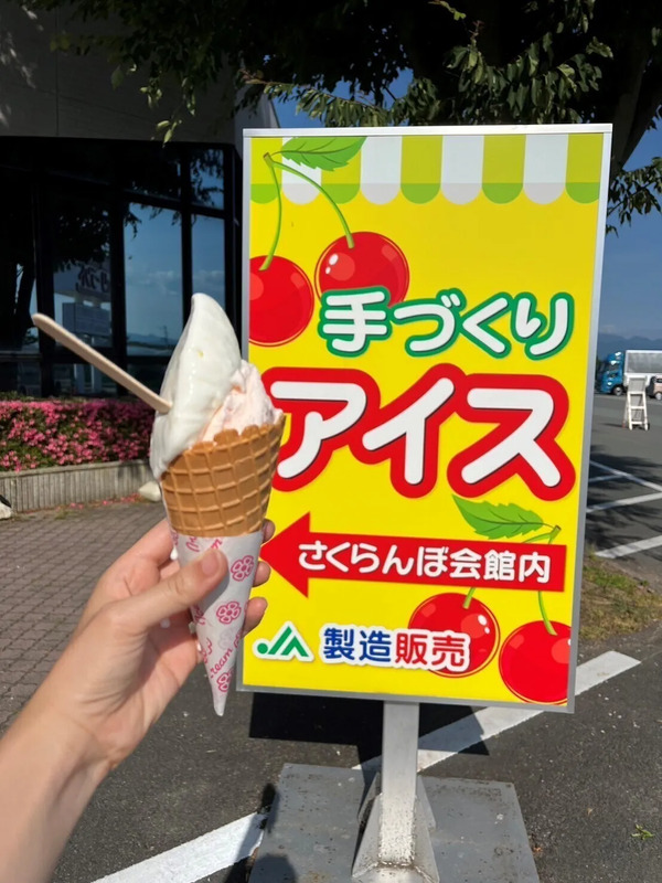 山形・寒河江「さくらんぼ狩り＆ジェラート券」が「TOHOKU MaaS」に