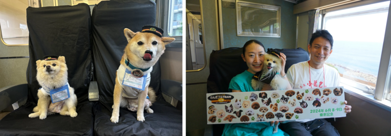 特急型車両E257系で行く！ケージレス列車『わんだフルTRAIN』第3弾